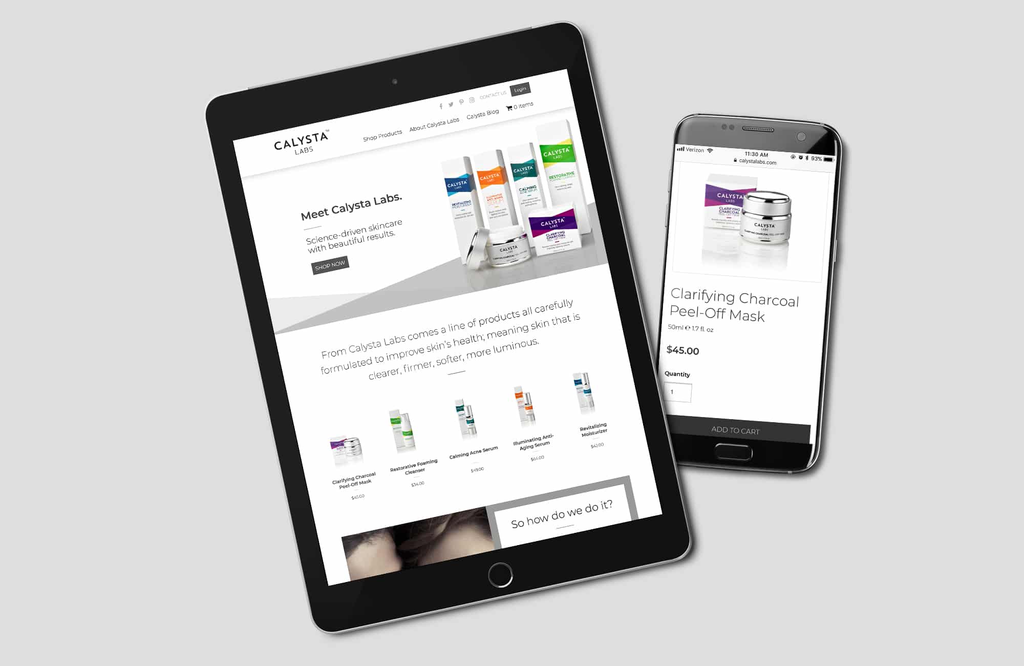 CalystaLabs_Website_Responsive